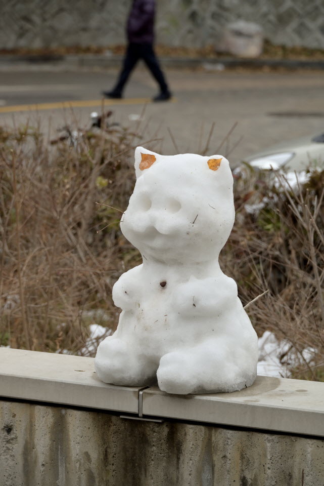 DSC_1331.JPG