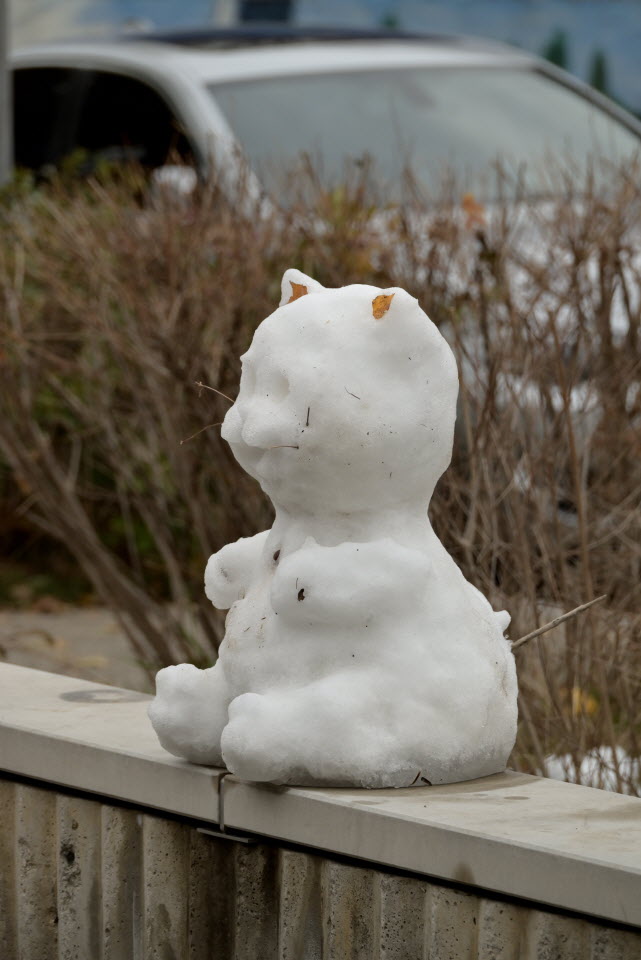 DSC_1330.JPG