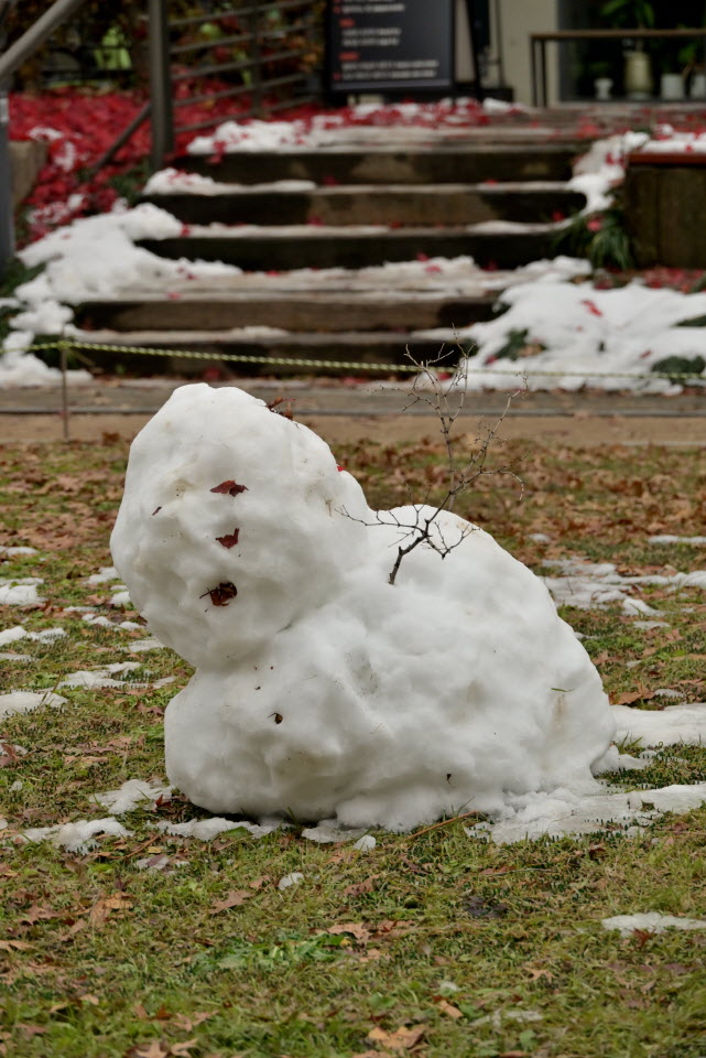 DSC_1278.JPG