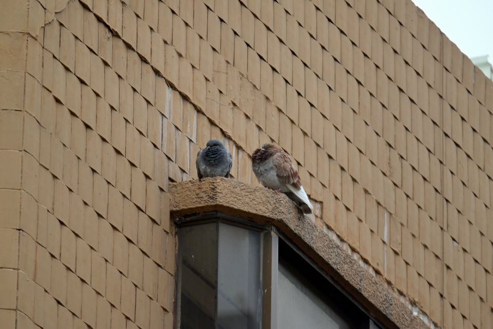 DSC_1293.JPG