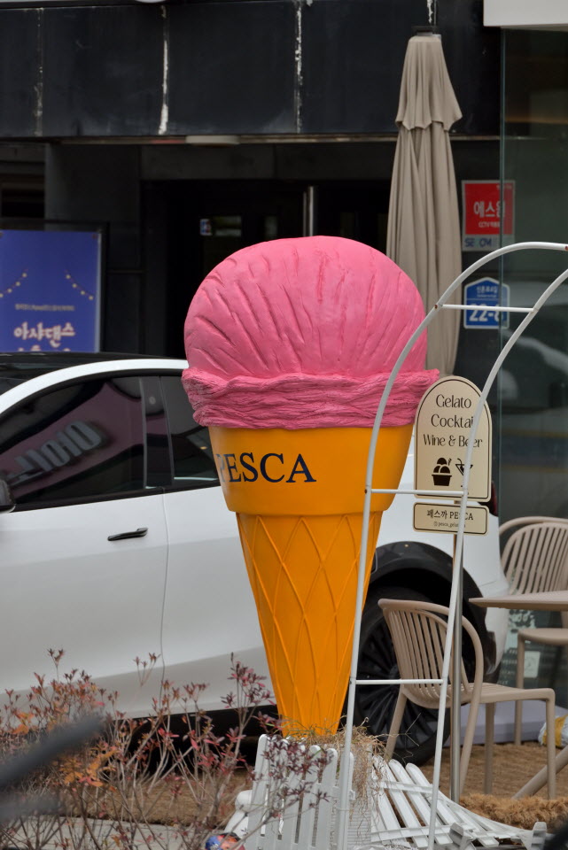 DSC_1285.JPG