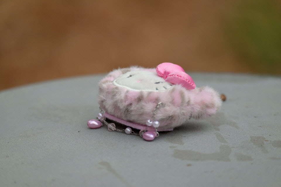 DSC_1321.JPG