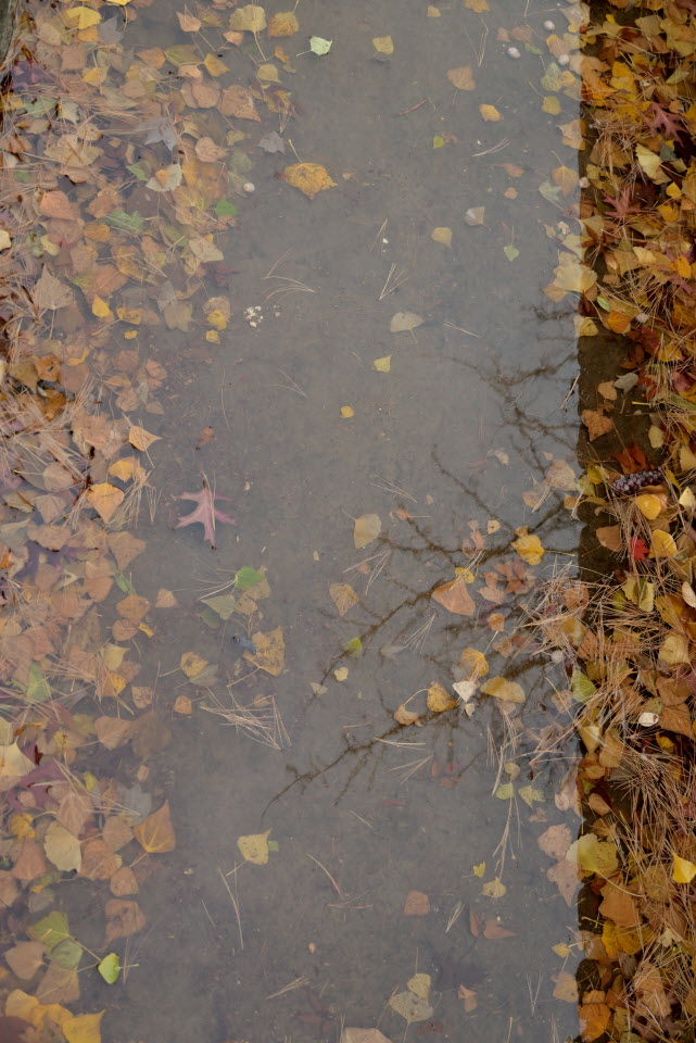 DSC_1354.JPG