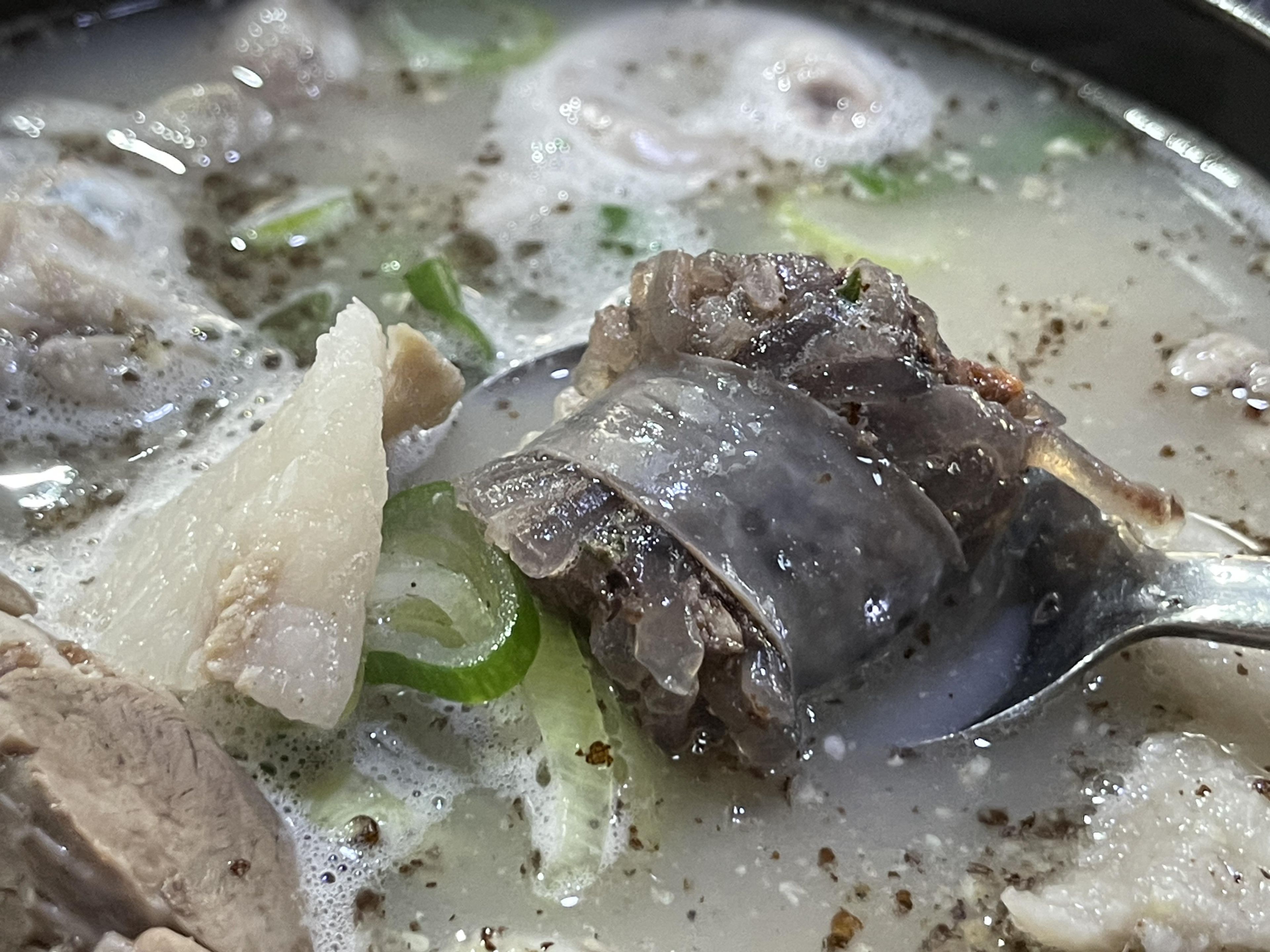 순대국밥의 작은 기적 - 사진 게시판 - 기글하드웨어