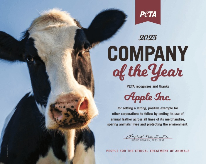 Company-of-the-Year-Apple-Inc.jpg