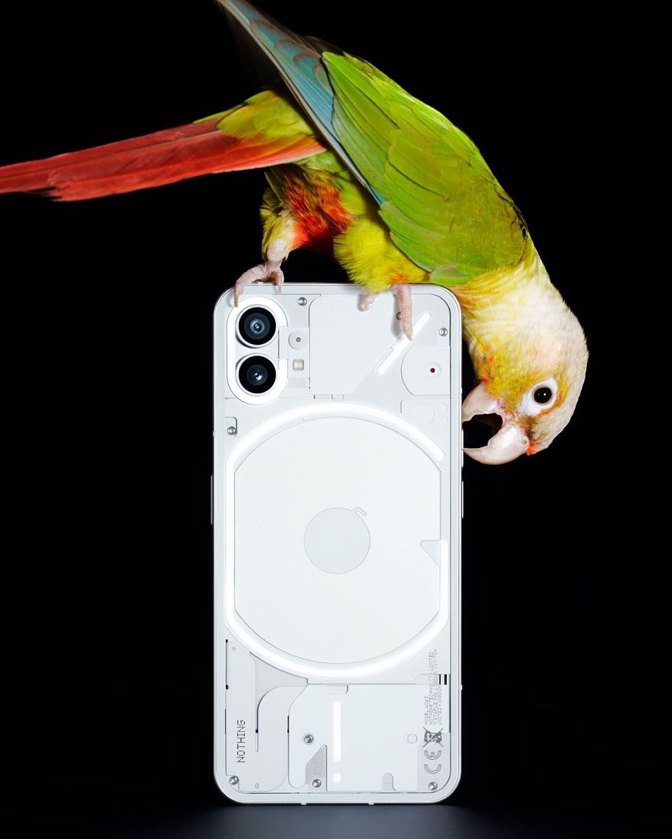 White-Nothing-Phone-1-on-black-background-with-bird-sitting-on-the-phone.jpg