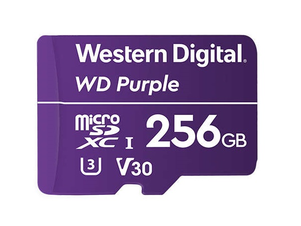 purple-msd_600x450.jpg