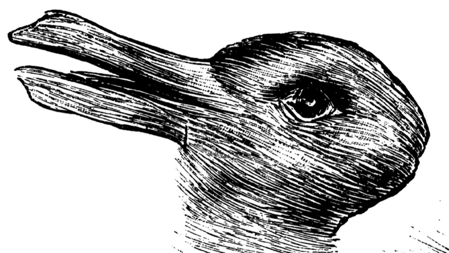 ambiguous1-1536x864-1740076967.jpg