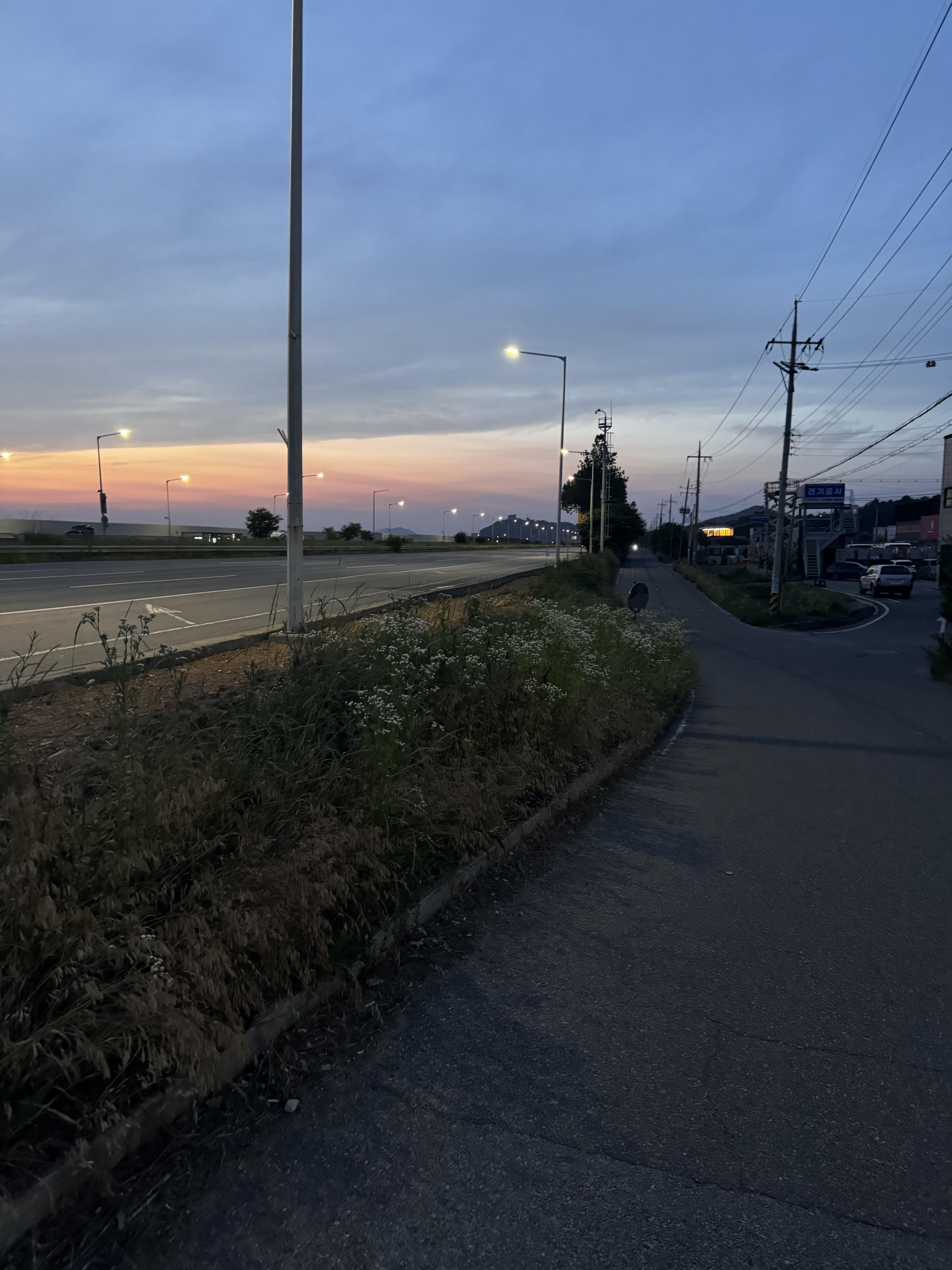 IMG_2767.jpeg