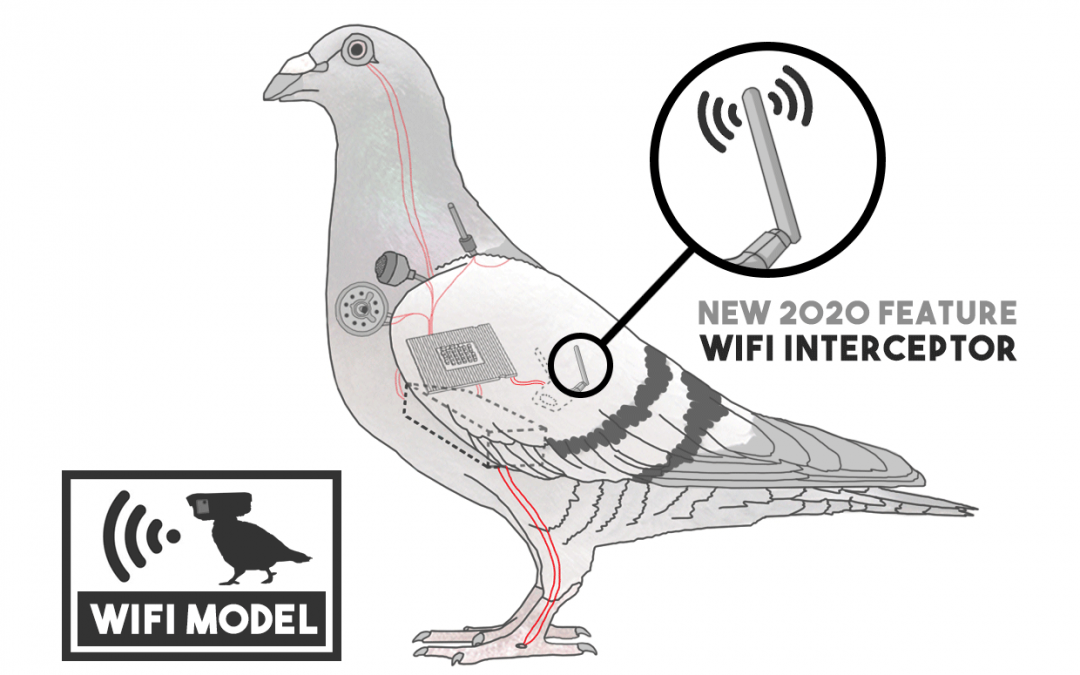 wifi-pigeon-drone-2020-1080x675.png