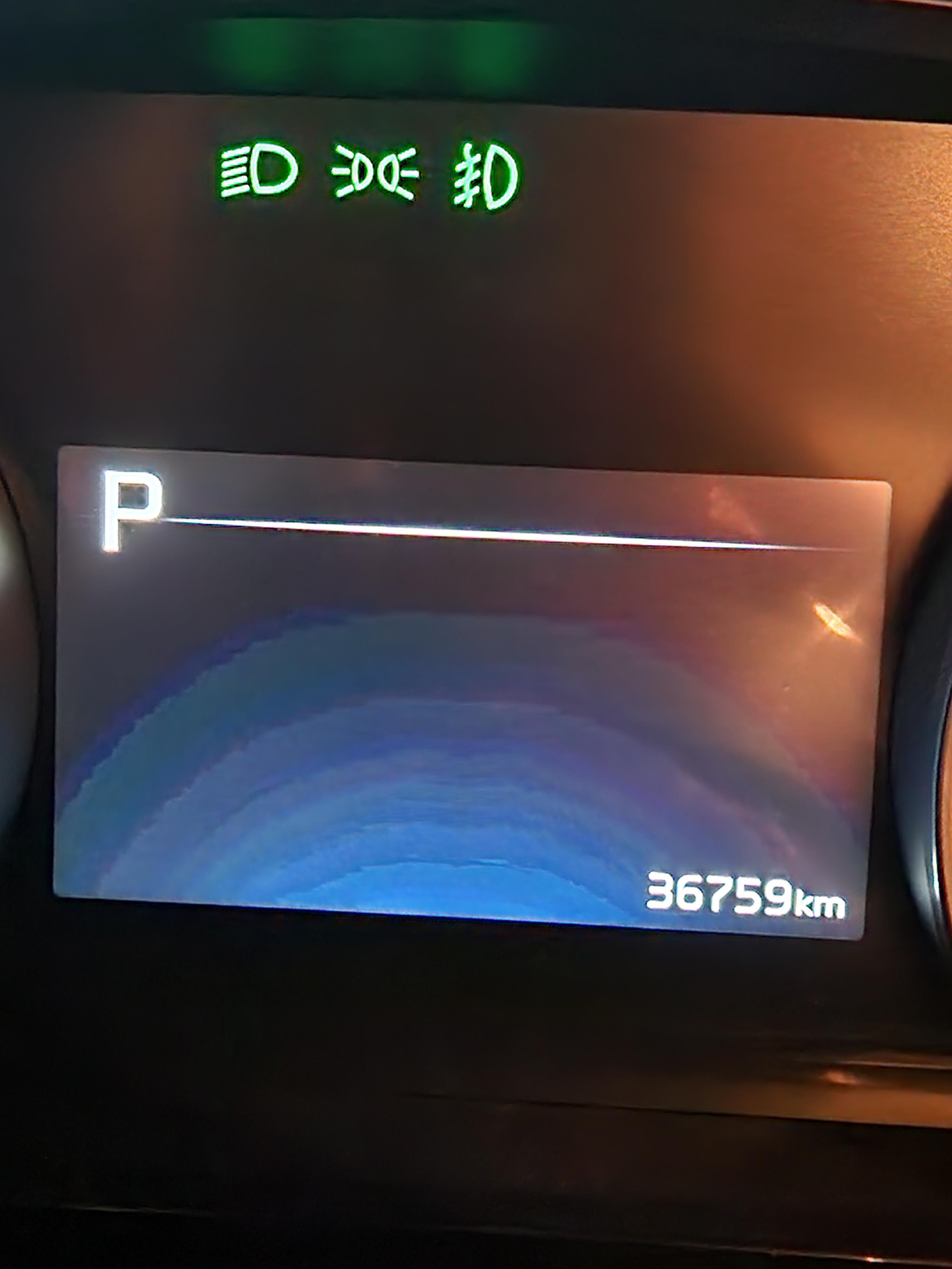 20240515_175557.jpg