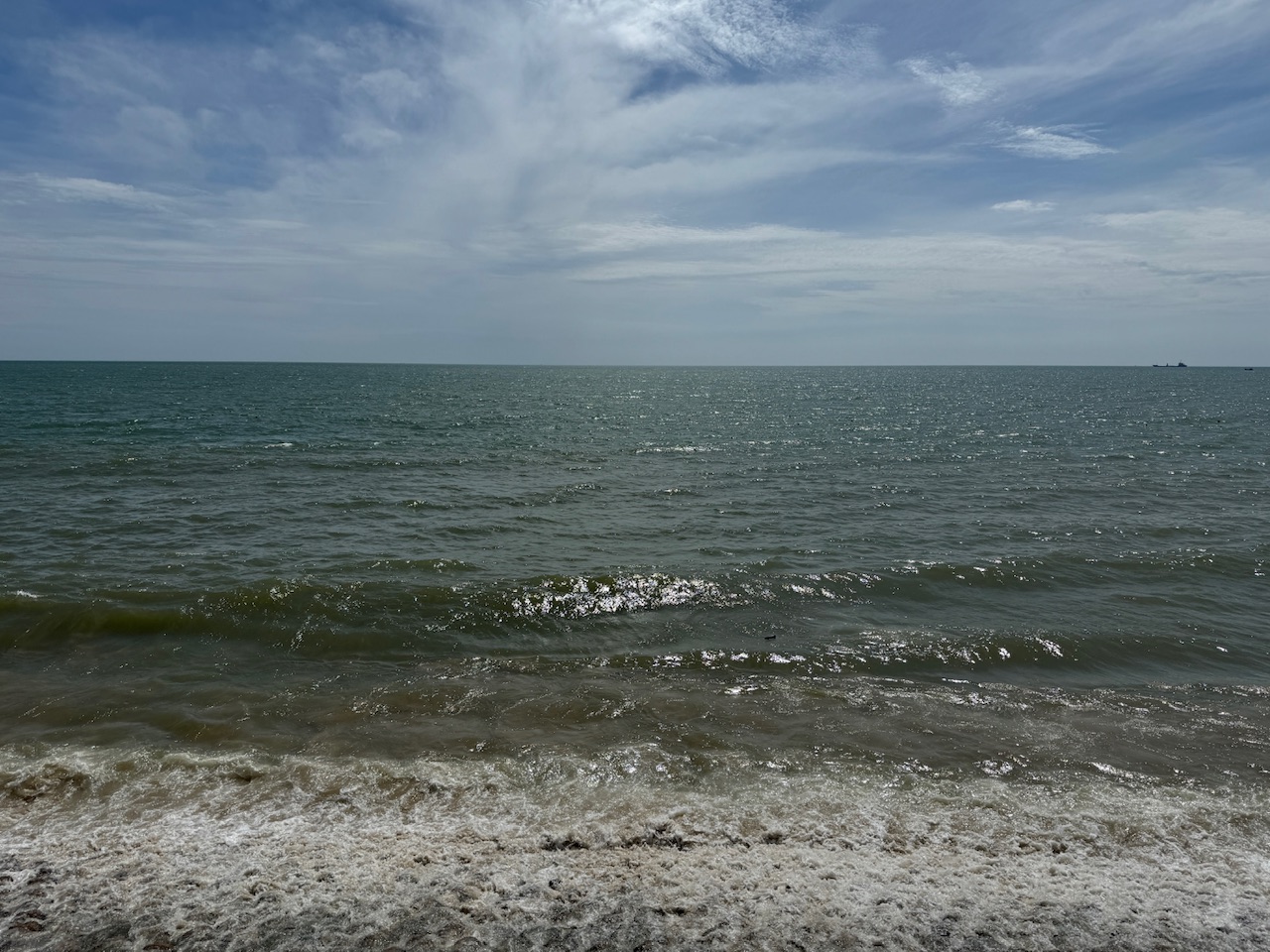 IMG_8954.jpeg