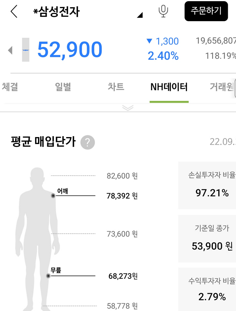 Screenshot 2022-09-28 at 16-46-51 기타 손실투자자 비율이 97.21%인 우량주.png
