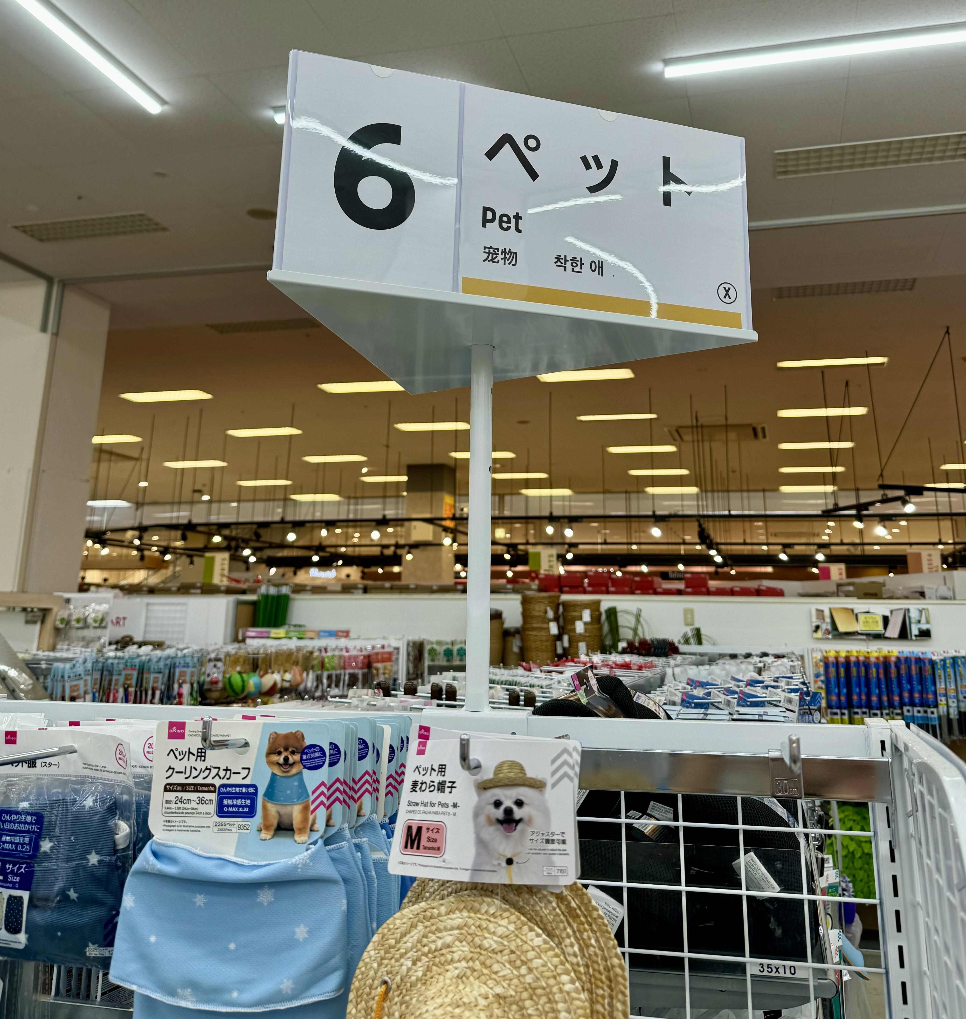 IMG_2695.jpeg
