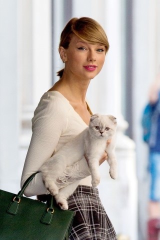 Taylor-Swift-Carrying-Cat-Olivia-Benson.jpg