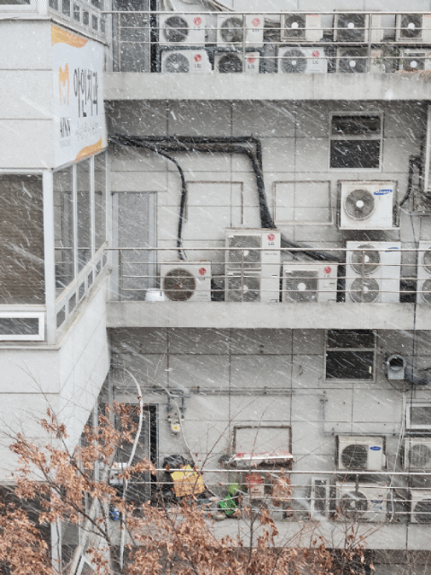 20241127_085617.gif