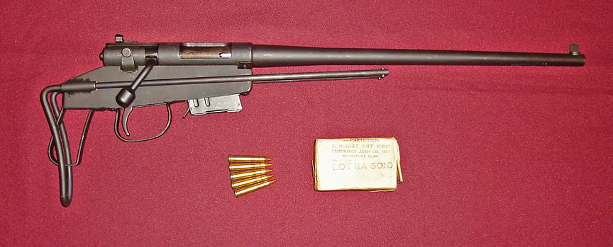 M4-Survival-Rifle.jpg