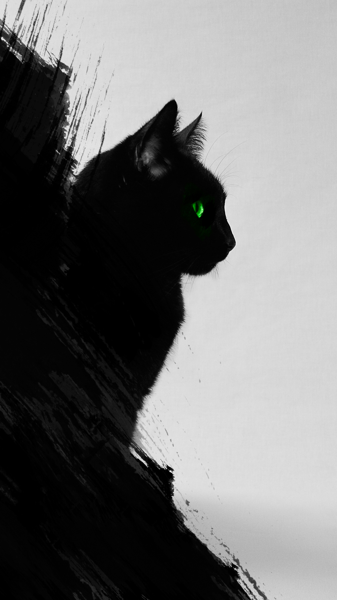 ecopetit.cat-black-cat-wallpaper-490221.png.jpg