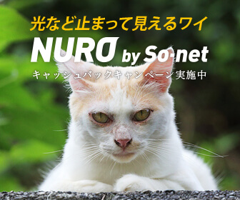 nuro-ad-cat9.jpg