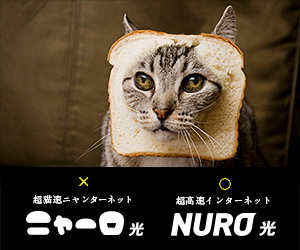 20190208-NURO（ニューロ）超猫速ニャンターネットニャーロ光超高速インターネットNURO光のバナーデザイン300px×250px.jpg