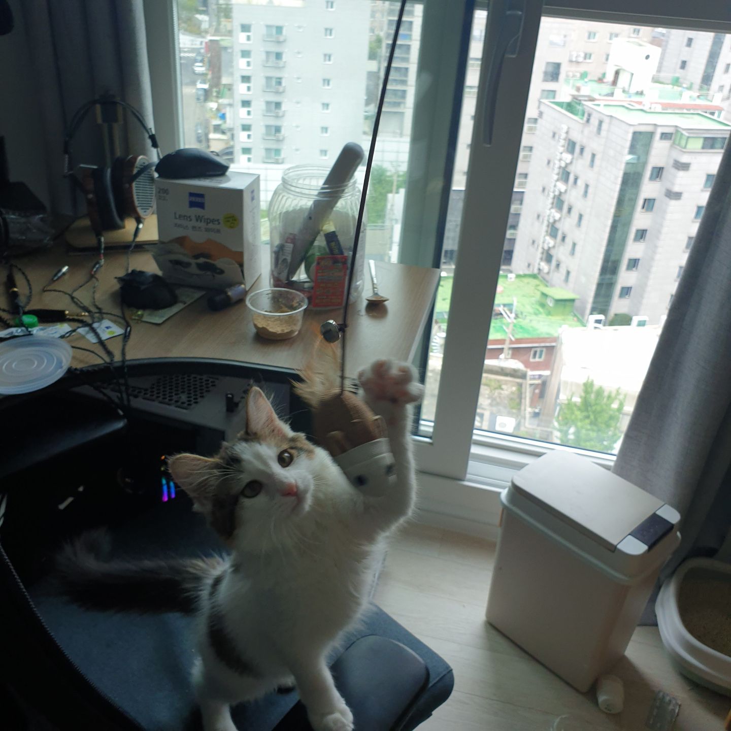 wayo-240724112352412.JPEG