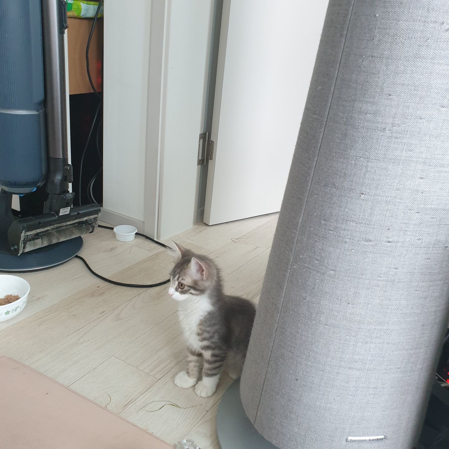 wayo-240724112329166.JPEG