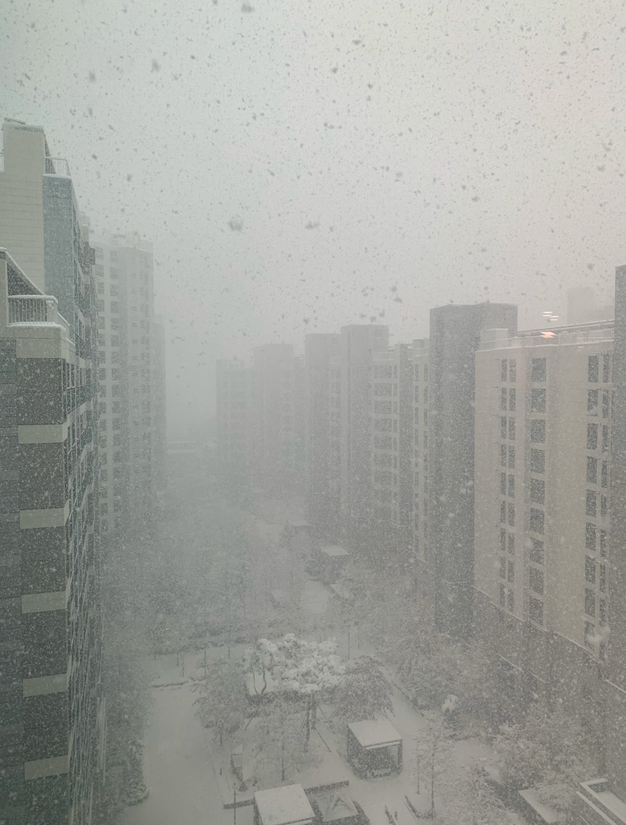 snow.jpeg