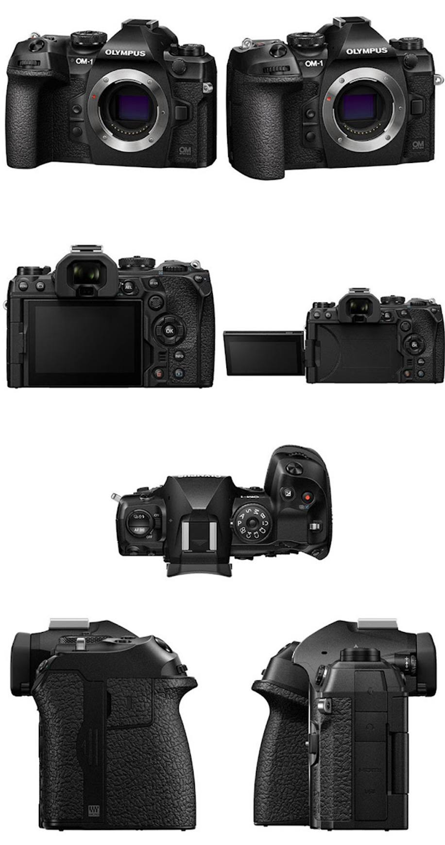 OM-System-OM-1-high-end-flagship-mirrorless-camera.jpg